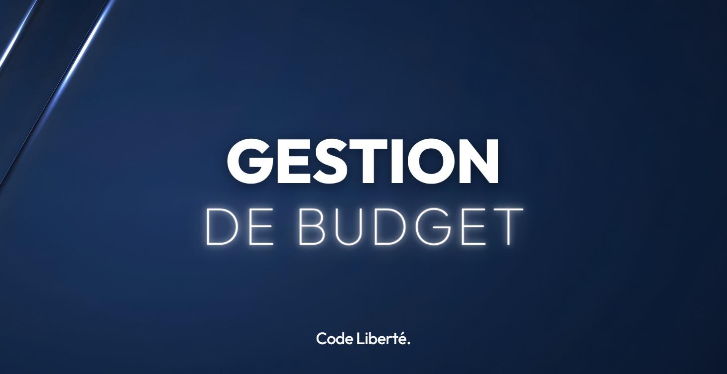 GESTION DE BUDGET & INVESTISSEMENT